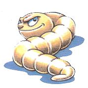 tekening van een aardworm
